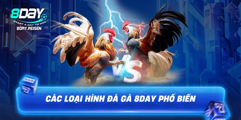 Các loại hình đá gà 8Day phổ biến