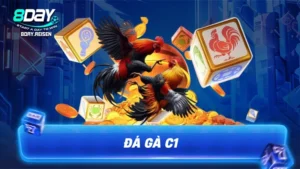 Đá gà C1 - Đẳng cấp của những trận cầu đỉnh cao