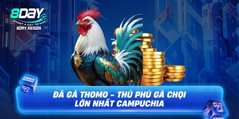 Đá gà Thomo - Đấu Trường Gà Chọi Hợp Pháp & Đẳng Cấp 1 Đá gà Thomo - Thủ phủ gà chọi lớn nhất Campuchia