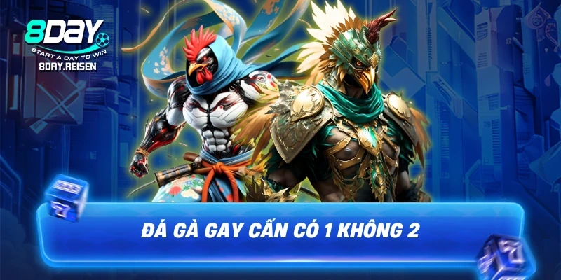 8Day 12 Đá gà gay cấn có 1 không 2 tại 8DAY